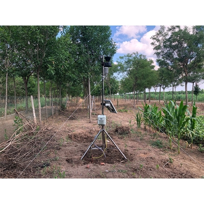 DJ-6393植物霜凍預(yù)警和監(jiān)測系統(tǒng)